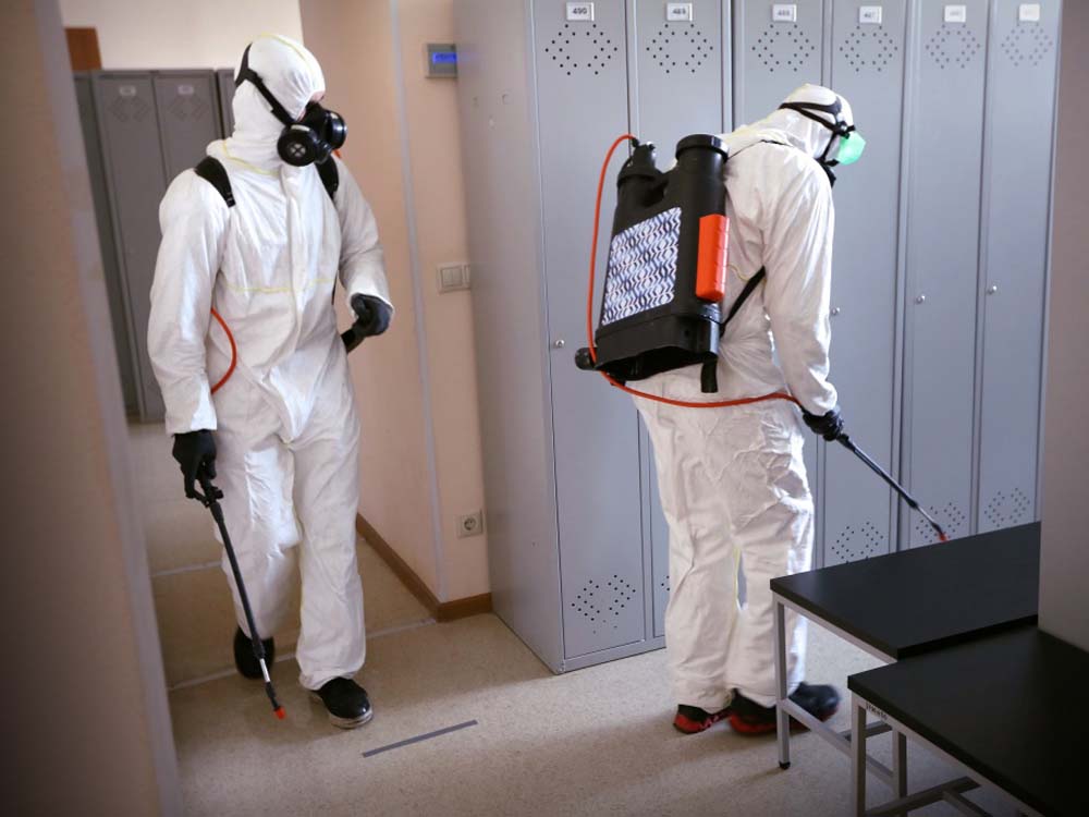 Professional Fumigation and Pest Control Services in Kampala Uganda, Jay-Clean & Tools (U) Ltd